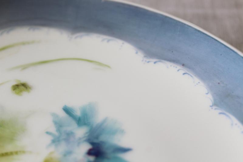 photo of vintage hand painted china plate, blue cornflowers floral bachelors buttons #3