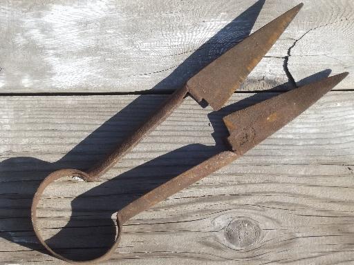 photo of vintage hand shearing sheep shears, marked Wilkinson forged steel blades  #1