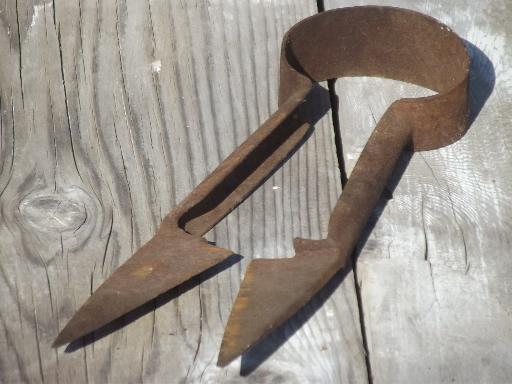 photo of vintage hand shearing sheep shears, marked Wilkinson forged steel blades  #2