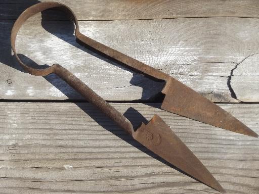 photo of vintage hand shearing sheep shears, marked Wilkinson forged steel blades  #4