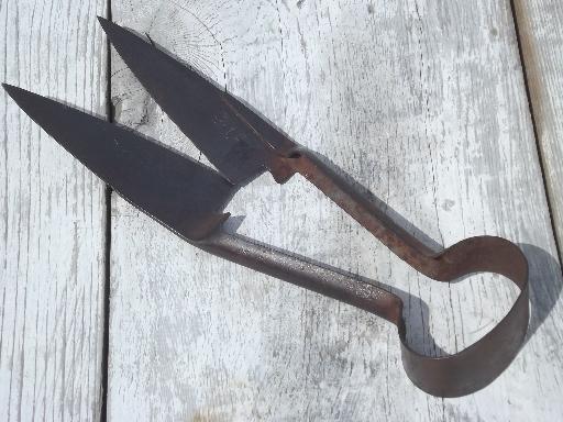 photo of vintage  hand shearing sheep shears, marked Wilkinson forged steel blades #1