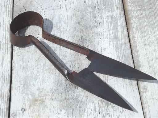 photo of vintage  hand shearing sheep shears, marked Wilkinson forged steel blades #2