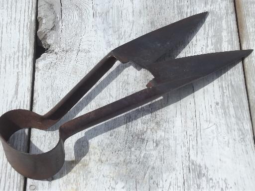 photo of vintage  hand shearing sheep shears, marked Wilkinson forged steel blades #3