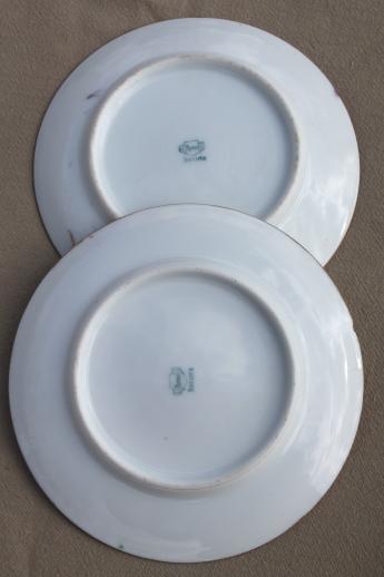 photo of vintage hand-painted china plates with flowers, pretty floral dishes for wedding, tea party #12