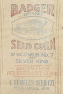 catalog photo of vintage heavy cotton grain sack, striped feed bag Wisconsin Badger brand seeds advertising