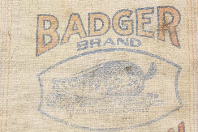 photo of vintage heavy cotton grain sack, striped feed bag Wisconsin Badger brand seeds advertising #3