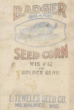 catalog photo of vintage heavy cotton grain sack, striped feed bag Wisconsin Badger brand seeds advertising