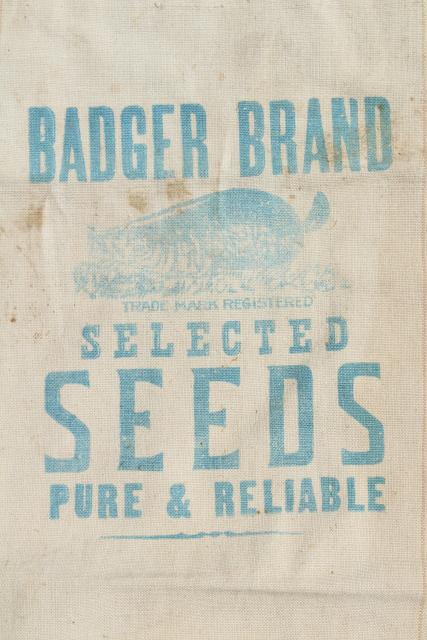 photo of vintage heavy cotton grain sack, striped feed bag Wisconsin Badger brand seeds advertising #2