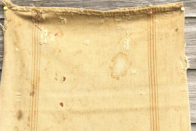 photo of vintage heavy cotton grain sack, striped seamless feed bag, primitive grubby antique fabric #6