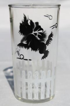 catalog photo of vintage jelly glass w/ Scotty dogs print, little black Scotties playing fetch