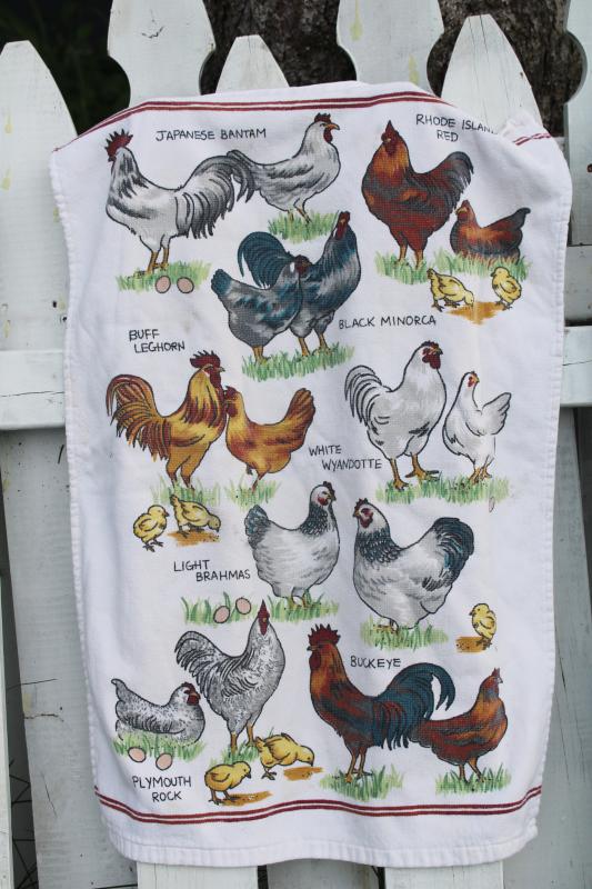 photo of vintage kitchen towel, cotton terrycloth dishtowel w/ chickens breeds print #1