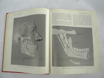 catalog photo of vintage medical and dental textbook diseases of the jaw w/illustrations