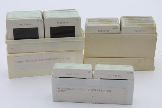 photo of vintage medical biology slides, ASCP photos of leukocytes or white blood cells etc., lot of 120 slides #1