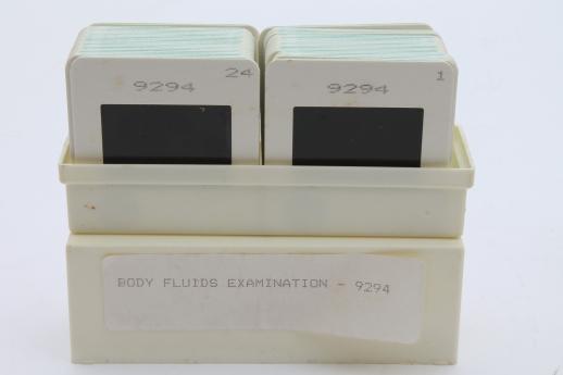 photo of vintage medical biology slides, ASCP photos of leukocytes or white blood cells etc., lot of 120 slides #2