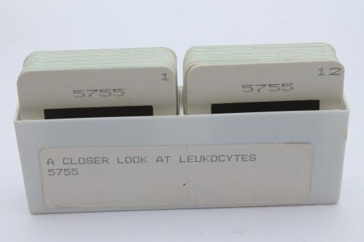 photo of vintage medical biology slides, ASCP photos of leukocytes or white blood cells etc., lot of 120 slides #3