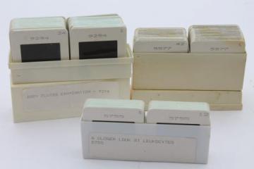 catalog photo of vintage medical biology slides, ASCP photos of leukocytes or white blood cells etc., lot of 120 slides