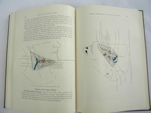 photo of vintage medical dentistry book Oral Anatomy with 300+ illustrations #3