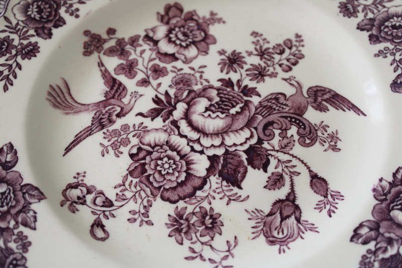 photo of vintage mulberry purple transferware, Crown Ducal Bristol plate birds & flowers  #2