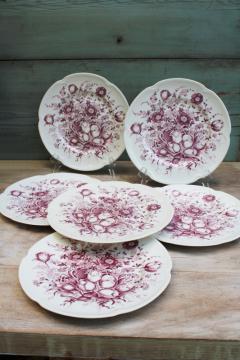 catalog photo of vintage mulberry purple transferware china dinner plates Johnson Bros Windsor Ware Dover floral