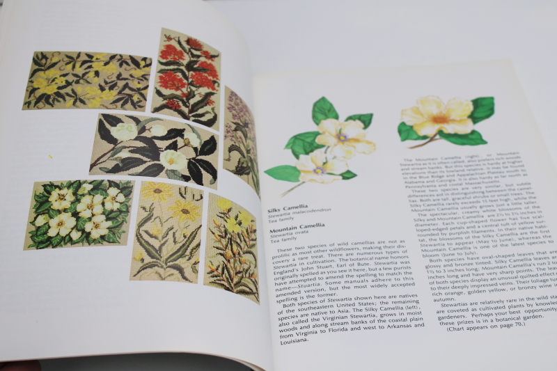 photo of vintage needlework book, wildflower floral designs charted for cross stitch or needlepoint #4