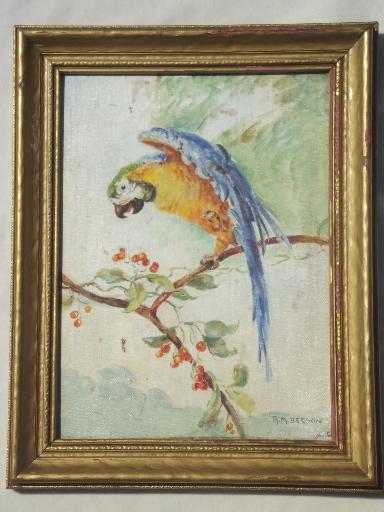 photo of vintage oil on board painting, parrot picture in antique gold wood frame #1