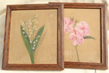 catalog photo of vintage oil paintings, botanical art flowers, painted floral sketches in old oak plank back frames