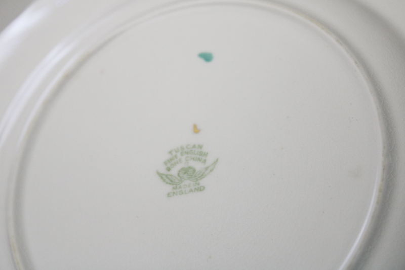 photo of vintage pink and mint green cosmos floral English bone china plate, Tuscan backstamp #4