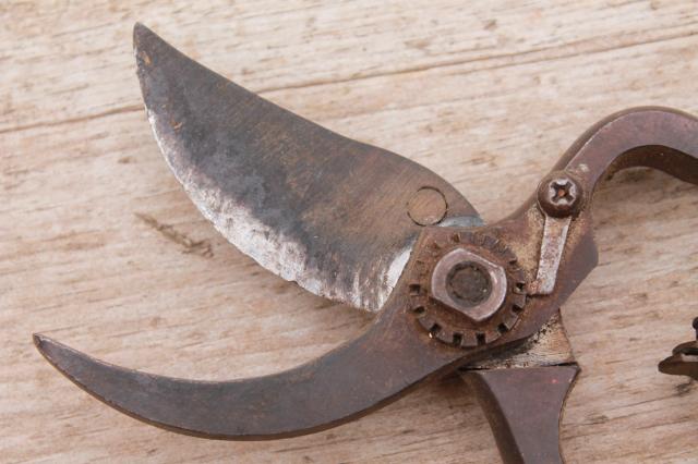 photo of vintage pruning shears, well made heavy steel garden tool old fashioned quality #10