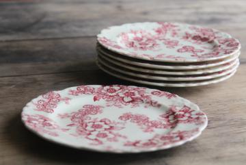 catalog photo of vintage raspberry red chintz floral Taylor Smith Taylor china bread and butter plates, toile style print