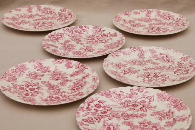 photo of vintage raspberry red chintz floral Taylor Smith Taylor china plates, toile style print #1