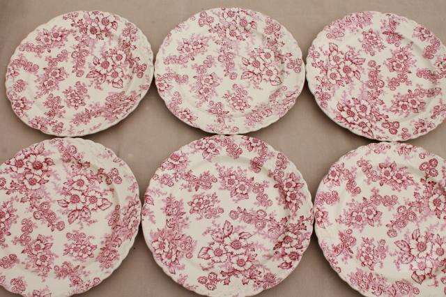 photo of vintage raspberry red chintz floral Taylor Smith Taylor china plates, toile style print #6