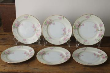 catalog photo of vintage set of six salad plates hand painted pink carnations floral, 1940s M mark Noritake Morimura china 