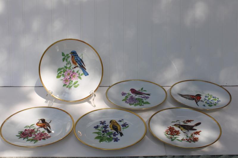 photo of vintage song birds bird & flower pattern salad plates E&R Schumann Bavaria #1