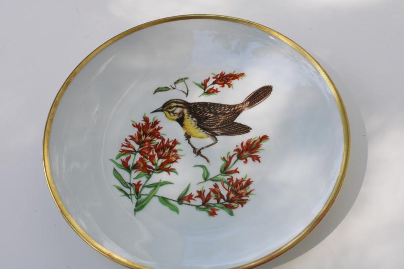 photo of vintage song birds bird & flower pattern salad plates E&R Schumann Bavaria #5