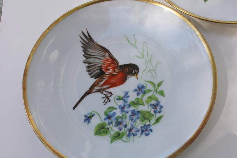 photo of vintage song birds bird & flower pattern salad plates E&R Schumann Bavaria #6