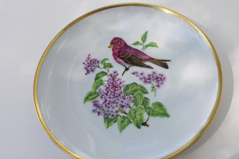 photo of vintage song birds bird & flower pattern salad plates E&R Schumann Bavaria #8