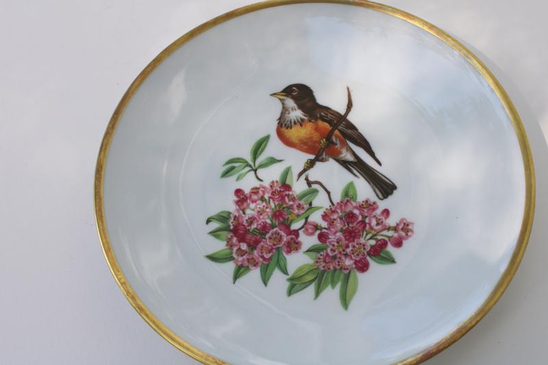 photo of vintage song birds bird & flower pattern salad plates E&R Schumann Bavaria #9