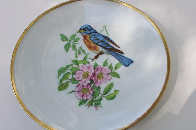 photo of vintage song birds bird & flower pattern salad plates E&R Schumann Bavaria #10