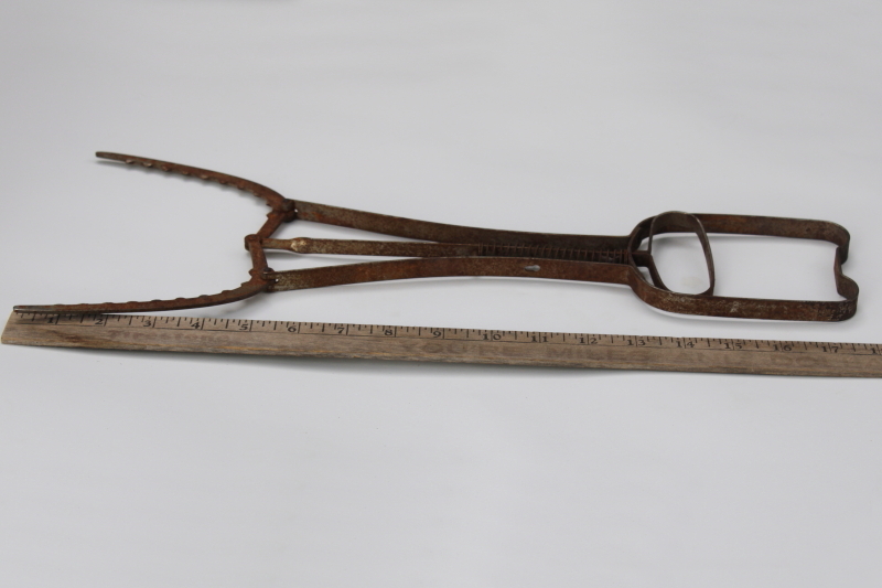 photo of vintage steel spring tongs, fishermans gaff tool, fish grabber clincher #1