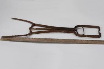 catalog photo of vintage steel spring tongs, fishermans gaff tool, fish grabber clincher