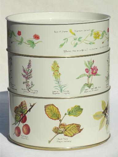 photo of vintage tins w/ Country Diary of an Edwardian Lady Edith Holden botanical prints #1