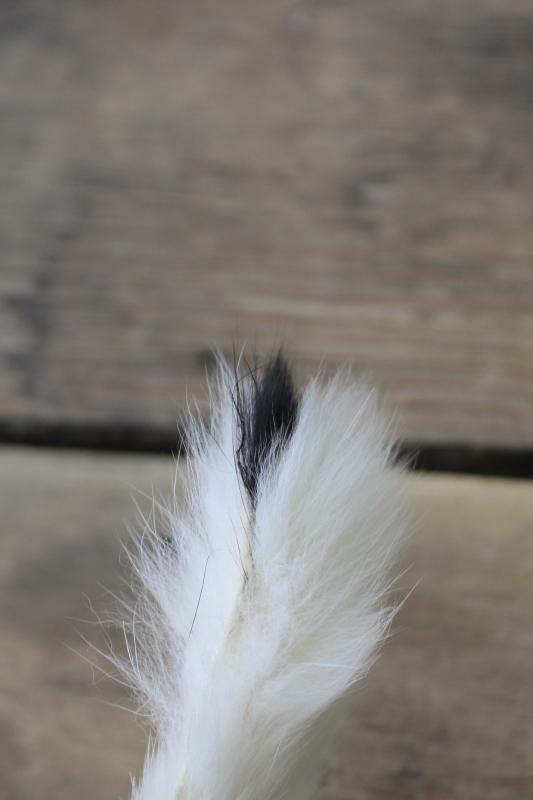 photo of vintage white ermine fur tippet collars, full pelt mink furs w/ tails #2
