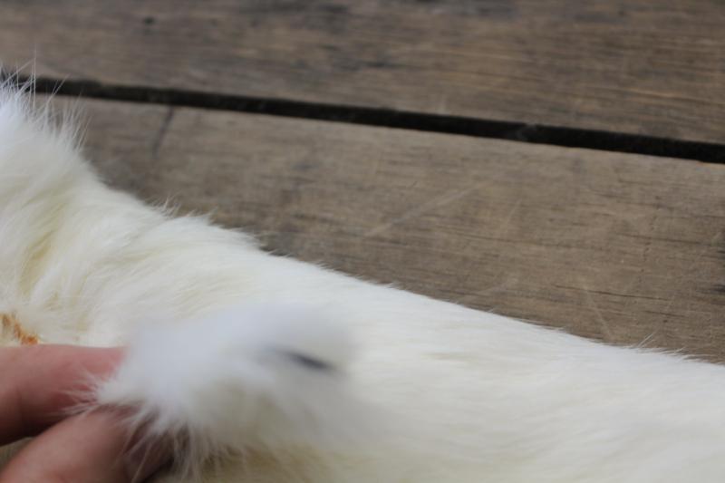 photo of vintage white ermine fur tippet collars, full pelt mink furs w/ tails #3