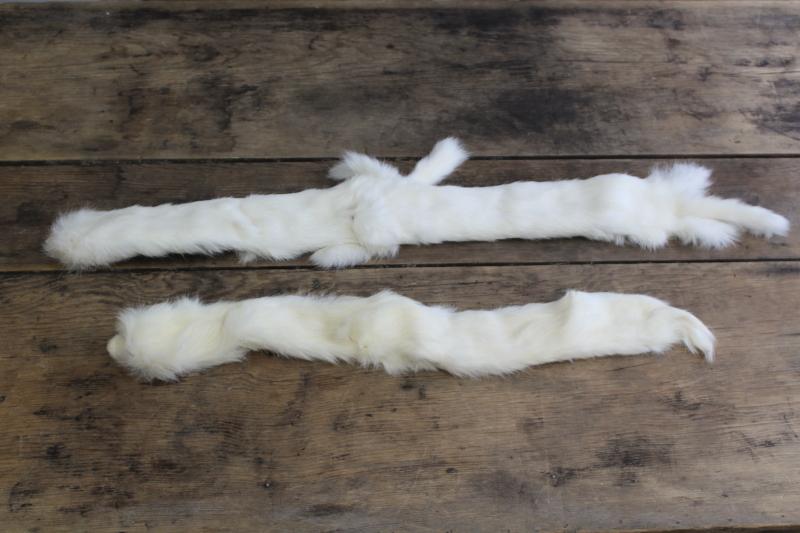 photo of vintage white ermine fur tippet collars, full pelt mink furs w/ tails #5