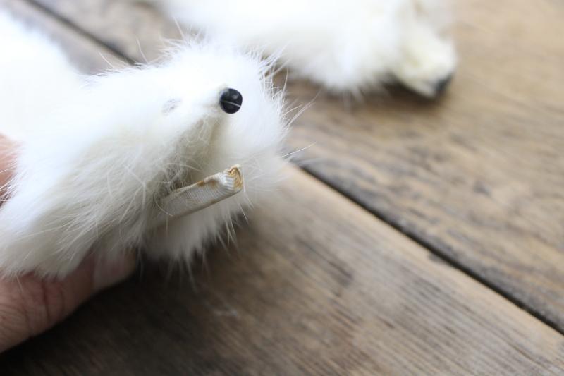 photo of vintage white ermine fur tippet collars, full pelt mink furs w/ tails #7