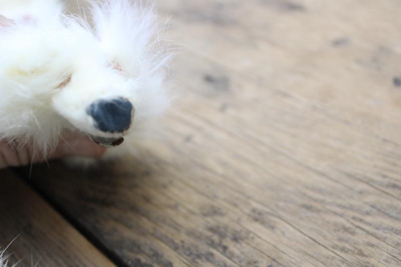 photo of vintage white ermine fur tippet collars, full pelt mink furs w/ tails #8