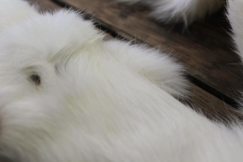photo of vintage white ermine fur tippet collars, full pelt mink furs w/ tails #10