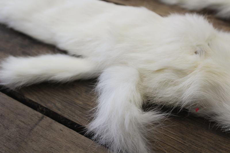 photo of vintage white ermine fur tippet collars, full pelt mink furs w/ tails #11