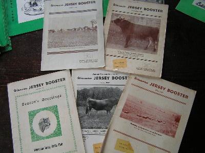 photo of vintage wi jersey booster dairy cattle cows pedigrees, ads #2