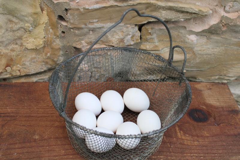 photo of vintage wire egg basket w/ handle, early 1900s antique farmhouse primitive #3